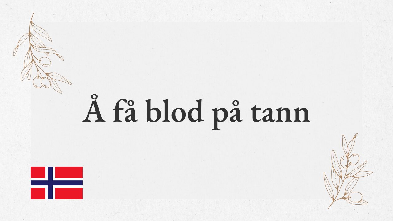 Å få blod på tann