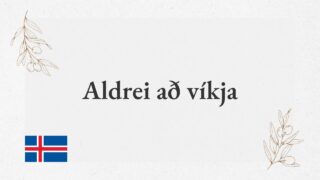 Aldrei að víkja