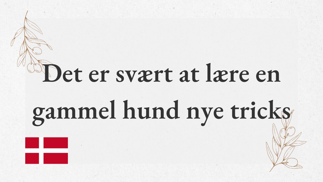 Det er svært at lære en gammel hund nye tricks