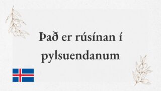 Það er rúsínan í pylsuendanum