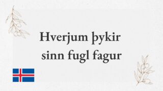 Hverjum þykir sinn fugl fagur