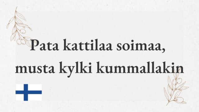 Pata kattilaa soimaa, musta kylki kummallakin