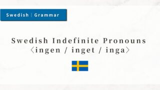 Swedish Indefinite Pronouns ingen / inget / inga|Basic Usage and Examples